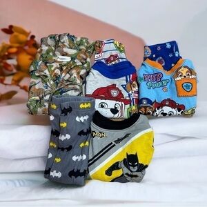 2T Pajama Bundle Paw Patrol Dinosaurs Batman Boys 2 Piece 5 Sets